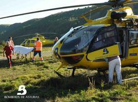 Rescatada una mujer aplastada por un árbol en Ibias y un montañero herido en Morcín