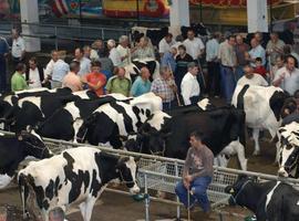 Foro propone que los grupos de Desarrollo Rural ahorren gastos con las instalaciones de Agroganadería