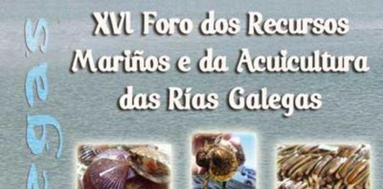 La cocina de proximidad y el rodaballo centrarán el  XXV Ciclo “Cultivando o Mar”