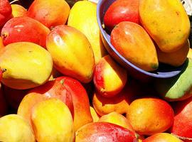 Las propiedades antioxidantes de la cáscara del mango 