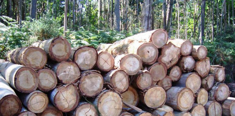 EQUO rechaza la central de biomasa de Riocastro