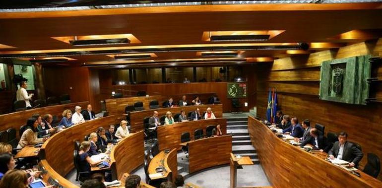 Foro critica el rechazo a su propuesta de aumentar en 200 euros las pensiones no contributivas