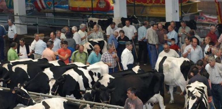 La nueva política de desarrollo rural europea a debate en Oviedo