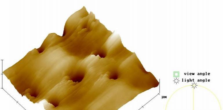 Investigadores vallisoletanos desarrollan un procedimiento que mejora las membranas para la separación de gases