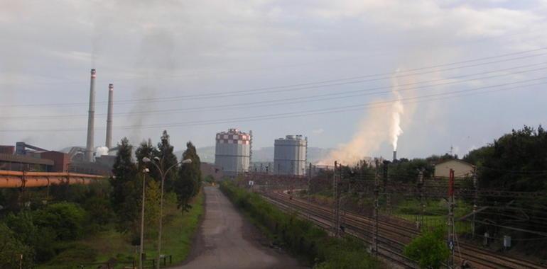 OMS confirma riesgo de cáncer por contaminación del aire