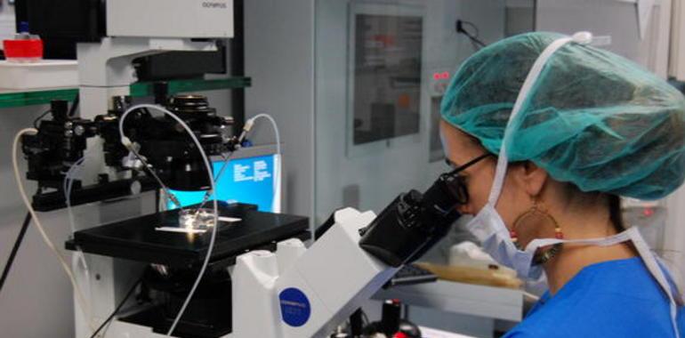 Nueva técnica  aumenta los embarazos en mujeres mayores de 40 años