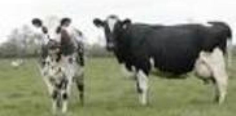 883.014 euros  para la ejecución de programas de agricultura y ganadería en Asturias