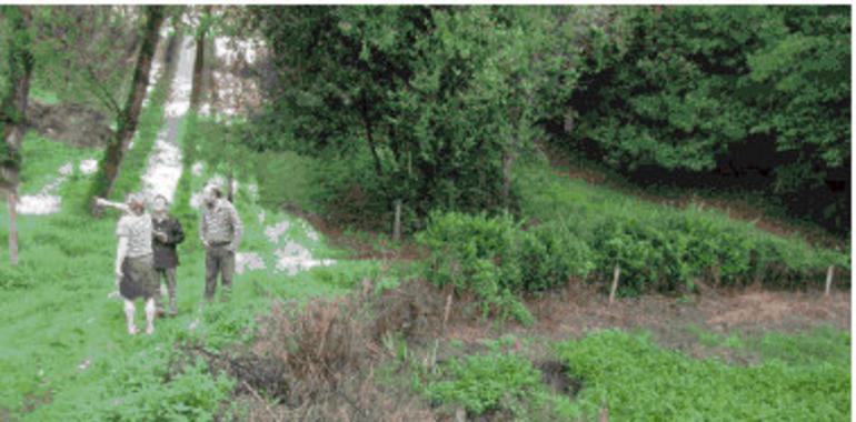 Piden solución al Ayuntamiento para un vertido de aguas negras en Los Olivares