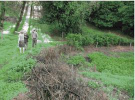 Piden solución al Ayuntamiento para un vertido de aguas negras en Los Olivares