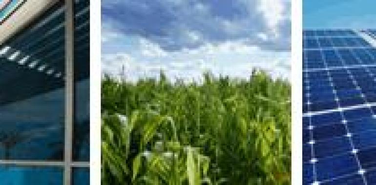 DuPont alcanza los 208 millones en el tercer trimestre