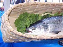 Asturias eleva a cuatro el cupo de salmones por pescador y temporada