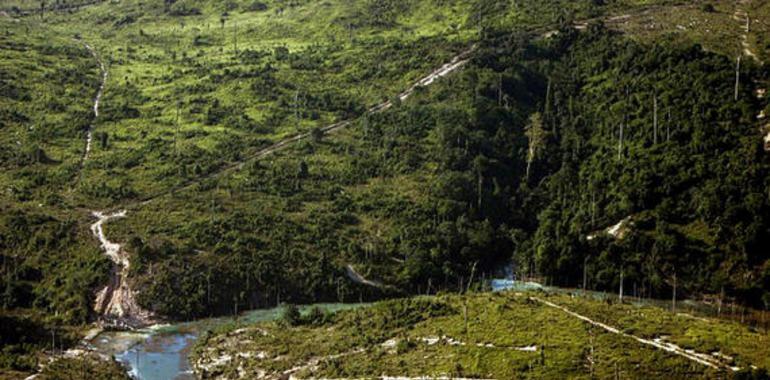 La fiebre del oro deforesta la Amazonía peruana 