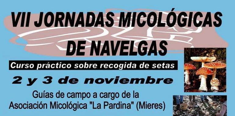 Navelgas celebra sus séptimas jornadas micológicas este fin de semana