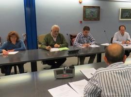 El nuevo Plan del Lobo mantendrá la muerte de cupos de ejemplares de la especie en Asturias