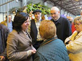 Consejería adelantará 30 millones de euros del pago único a agricultores y ganaderos