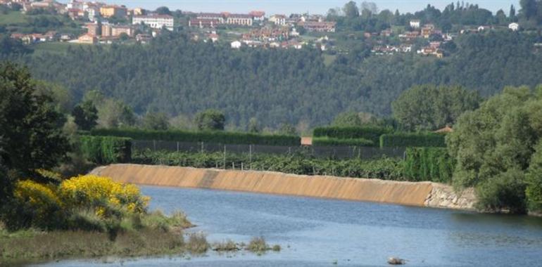 Ecologistas piden la retirada de la escollera ilegal en la isla de los kiwis  en el río Nalón,