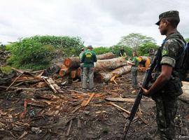  Los madereros ilegales se enfrentan a la expulsión de la tierra awá 
