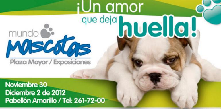 Mundo Mascotas… “nos enseña a querer sin condiciones”