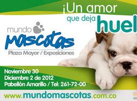 Mundo Mascotas… “nos enseña a querer sin condiciones”