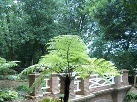 Futuro invernadero en el Jardín Botánico Atlántico