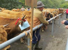 La consejera anuncia 3,8 millones de euros en un plan de actuaciones en el medio rural