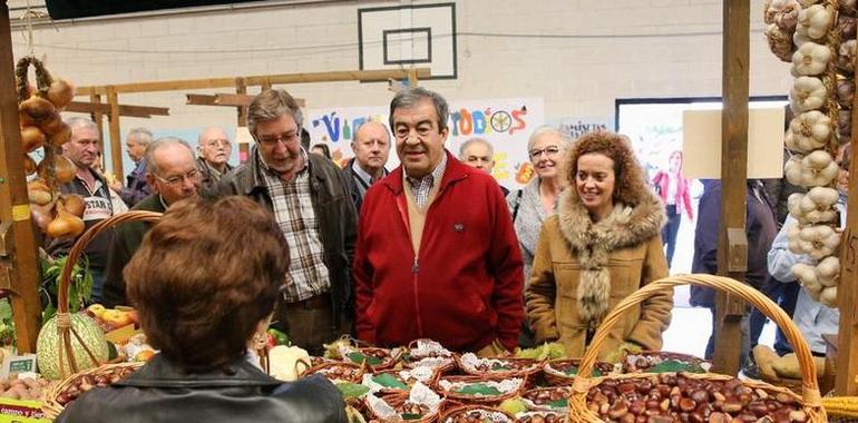 Cascos propone la marca de calidad Castaña Asturiana para desarrollar su producción en el país