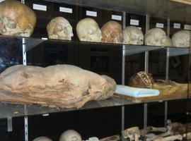 Cómo identificar el sexo de un cadáver aunque esté incompleto