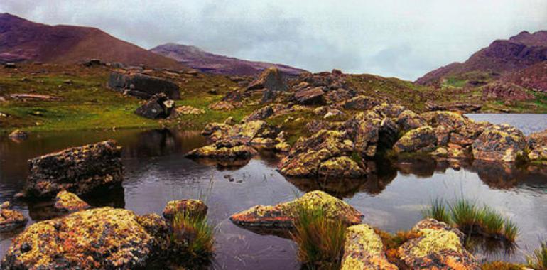 Bolivia declara prioridad nacional la forestación del Parque Nacional Tunari