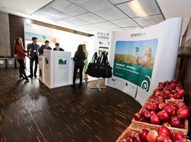Las catástrofes naturales planean sobre Conferencia del Cambio Climático en Polonia