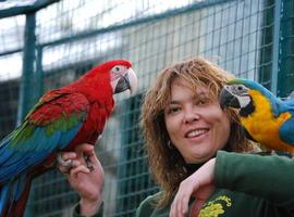 Enseñan a hablar con los loros en el Zoo de Oviedo