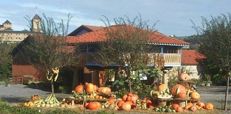 El Botánico rebaja un 2% su presupuesto para 2014