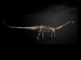 Se subasta dinosaurio de 17 metros de largo