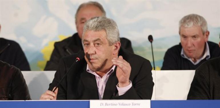 Bertino Velasco reelegido presidente de CLAS