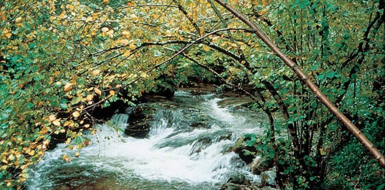 El Parque de Fuentes del Narcea cuenta ya con la “Q” de calidad turística