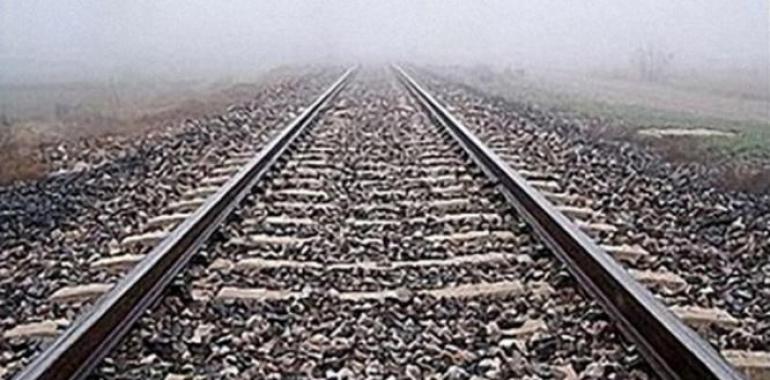 Fomento mantiene cerrada la Alta Velocidad a Asturias y destina otros 116 M€ a Cataluña