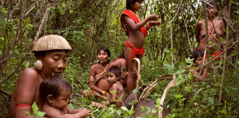 Sale a la venta el primer libro escrito por un chamán yanomami