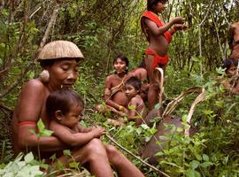 Sale a la venta el primer libro escrito por un chamán yanomami