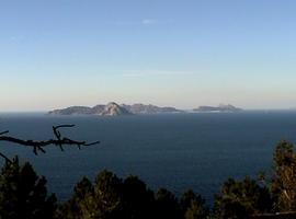 Medio Rural abre a la participación pública el plan de uso y gestión del Parque Nacional de las Islas Atlánticas 