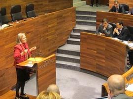 El PP pide a Javier Fernández un \"esfuerzo infinito\" para negociar los presupuestos