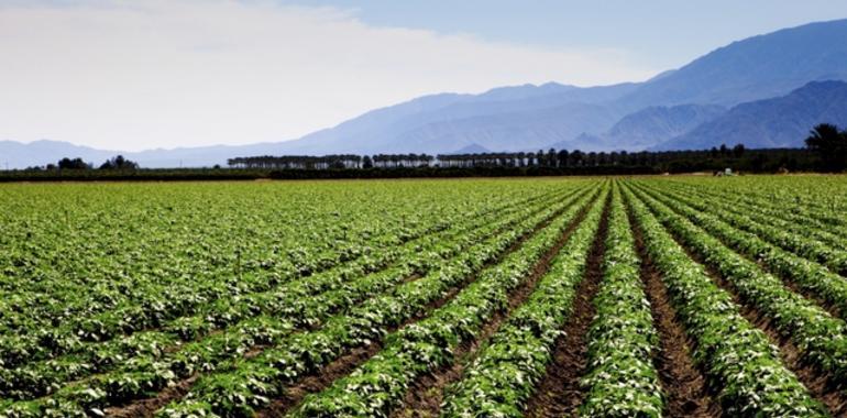 Proyecto europeo para mejorar la eficiencia del agua en el riego agrícola