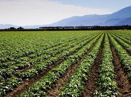 Proyecto europeo para mejorar la eficiencia del agua en el riego agrícola