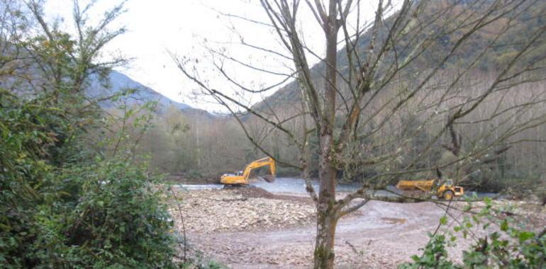 Denuncian a la CHN por dragar el Narcea en La Llonga, al inicio de la freza en la mejor zona salmonera