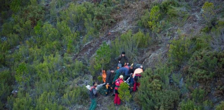 Herido un trabajador forestal a causa de una caída en Tamagordas, Illano