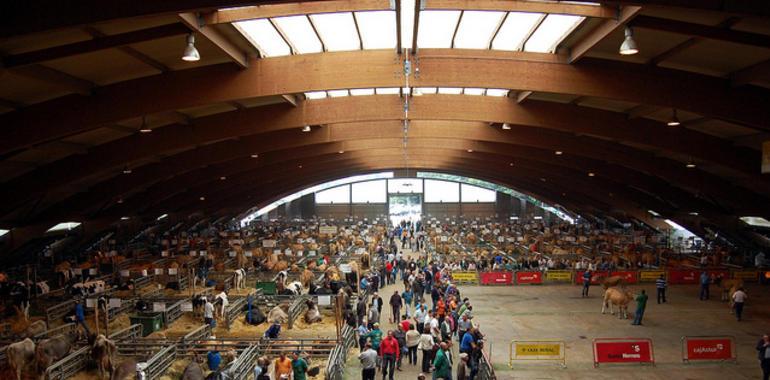 Los autónomos abandonan el campo asturiano 