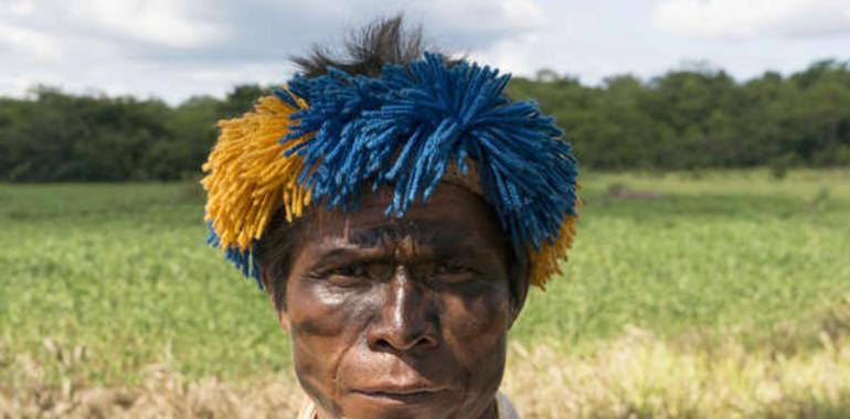 Desesperado llamamiento guaraní a Coca-Cola para que no compre azúcar a Bunge