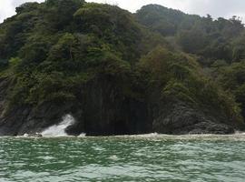 Nueva área para la protección de la tortuga marina más grande del mundo
