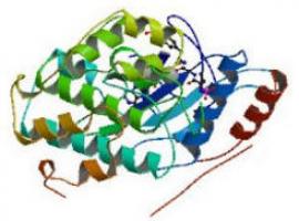 Identificados 40 nuevos genes relacionados con la artritis reumatoide