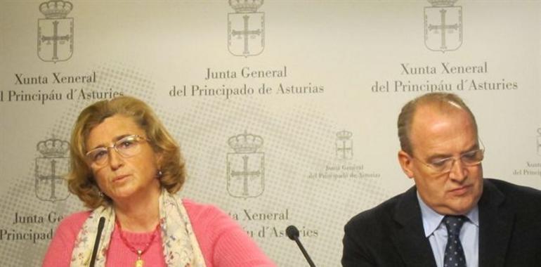 El PP critica el "resultado nefasto" de la gestión de Gispasa en el nuevo HUCA