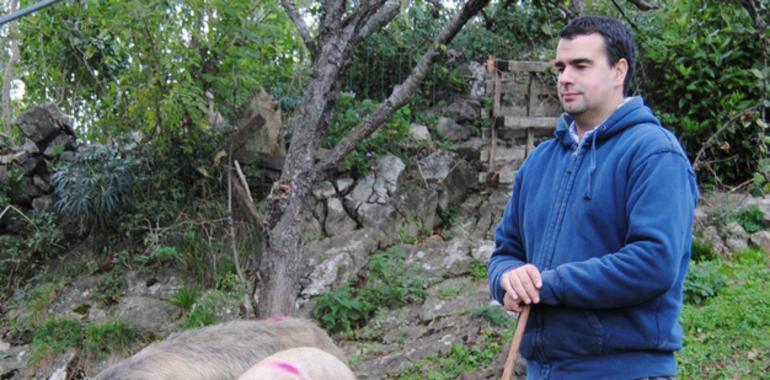 AGCA recuerda que sólo los establecimientos con su distintivo sirven carne de gochu celta 