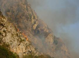 Foro advierte de un déficit de eficacia en el Servicio de Emergencias ante los incendios del occidente